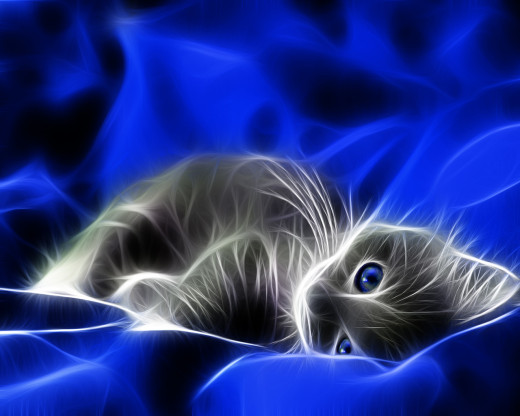 20871 (a): :1280x1024